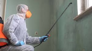 Reliable Island Walk, FL Mold Removal & Remediation Solutions