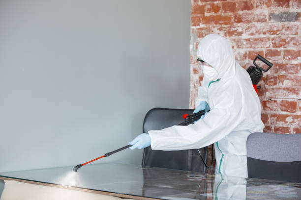 Asbestos and Lead Testing During Mold Inspection in Island Walk, FL